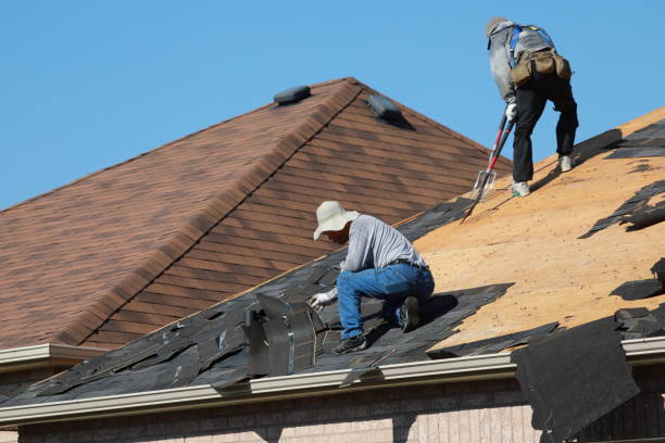 Best Skylight Installation and Repair  in St John, KS